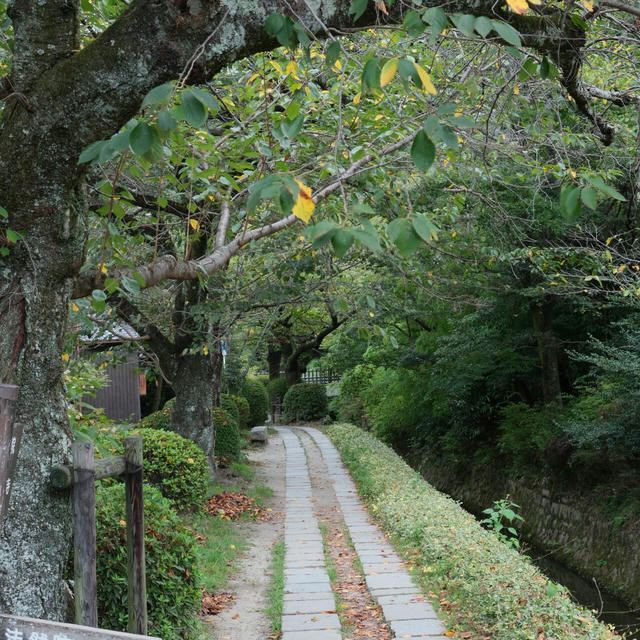 2024/09 Japan photo 19